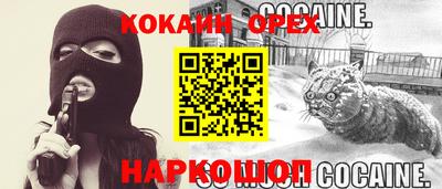 гашик Шелехов