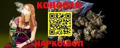 гашик Шелехов