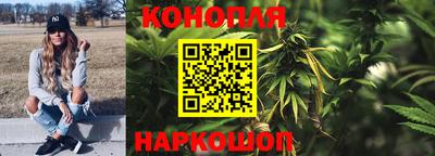 гашик Шелехов