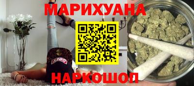 гашик Шелехов