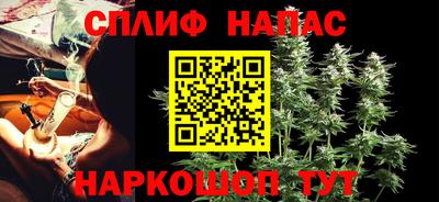 гашик Шелехов
