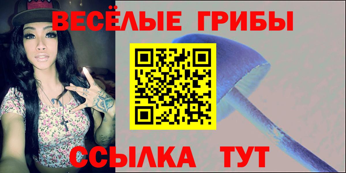 купить   Вход с VPN  Псилоцибиновые грибы ЛСД  Брянск  Галлюциногенные грибы Psilocybine cubensis 