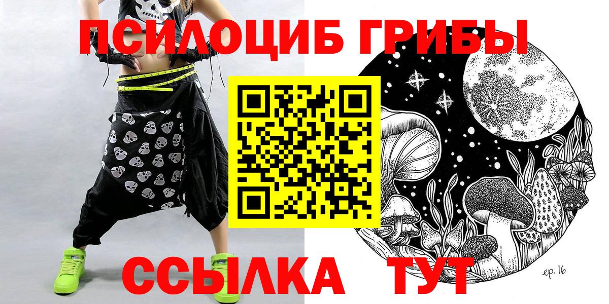Псилоцибиновые грибы прущие грибы Брянск